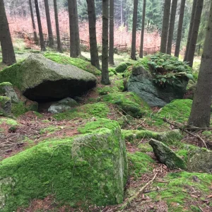 Tajemný hrad Štarkov a okolí - Vysočina s dětmi