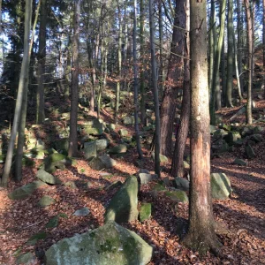 Hrad Lipnice a památník odposlechu - Vysočina s dětmi