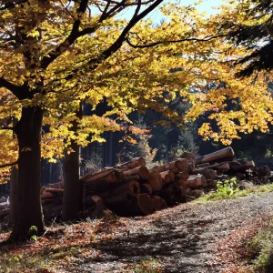 Buchtův kopec - Vysočina s dětmi