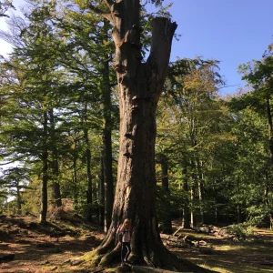 Hrad Oheb na Seči - Vysočina s dětmi