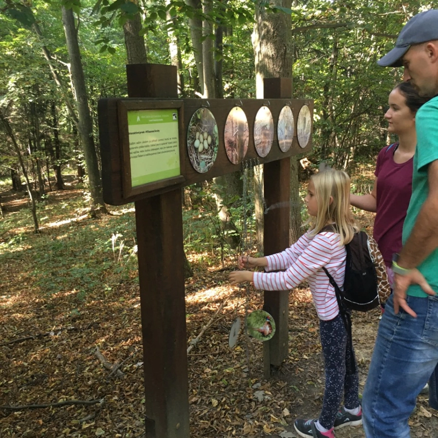 Rekreační lesy Podhůra - Vysočina s dětmi
