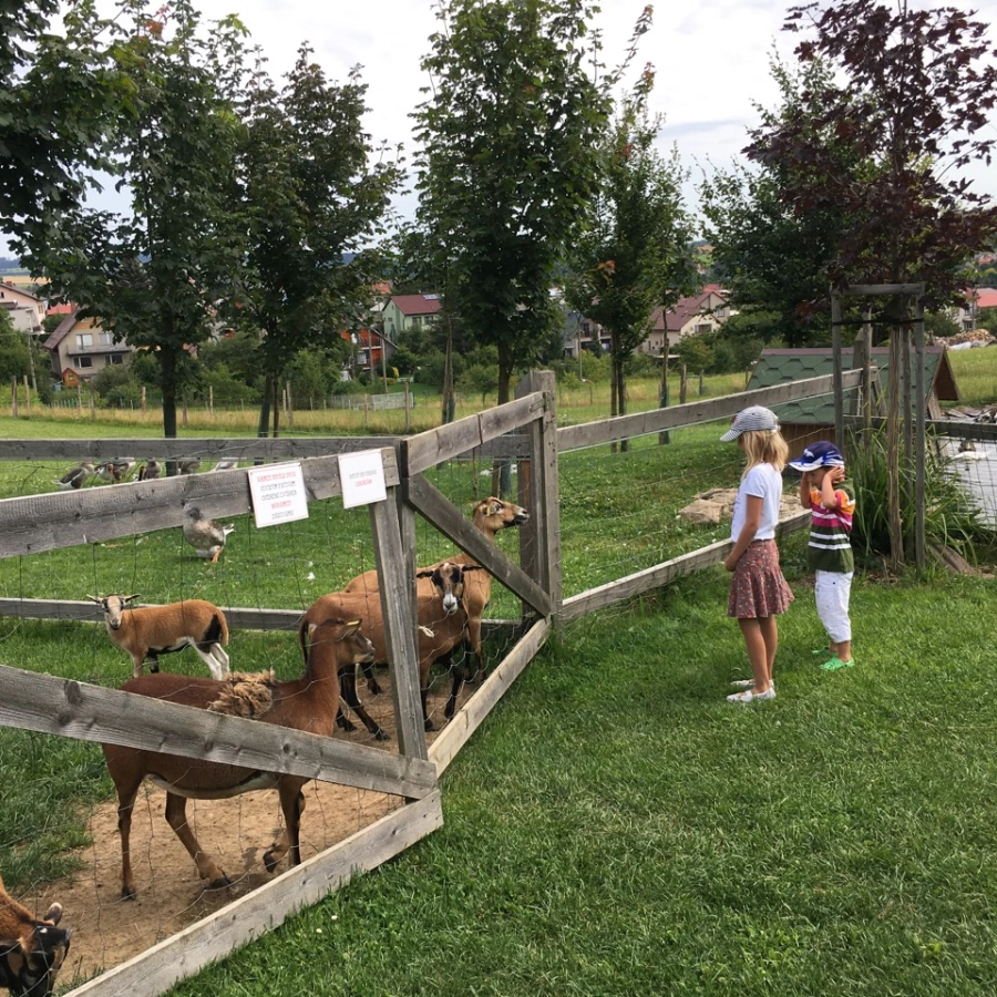 Nové Město na Moravě s dětmi - Vysočina s dětmi
