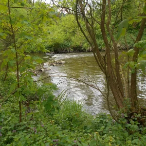 Hop na Zaječí skok u Jihlavy - Vysočina s dětmi