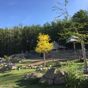 Jihlava ZOO - Vysočina s dětmi