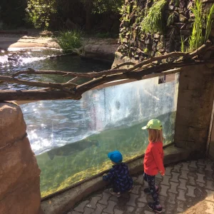 Jihlava ZOO - Vysočina s dětmi