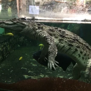 Jihlava ZOO - Vysočina s dětmi