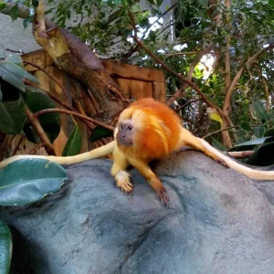 Jihlava ZOO - Vysočina s dětmi