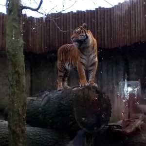 Jihlava ZOO - Vysočina s dětmi