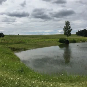 Tajemná Dolní Rožínka a minerály na Rožné - Vysočina s dětmi