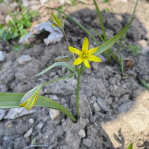 Tajemná Dolní Rožínka a minerály na Rožné - Vysočina s dětmi