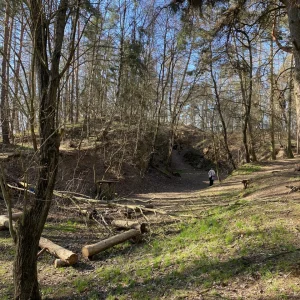 Tajemná Dolní Rožínka a minerály na Rožné - Vysočina s dětmi