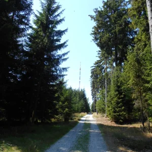 Z Pařezáku na Javořici - Vysočina s dětmi