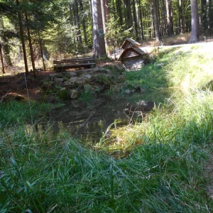 Z Pařezáku na Javořici - Vysočina s dětmi