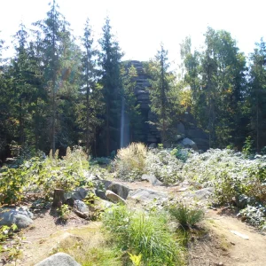 Z Pařezáku na Javořici - Vysočina s dětmi