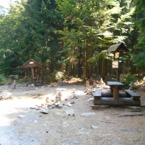 Z Pařezáku na Javořici - Vysočina s dětmi