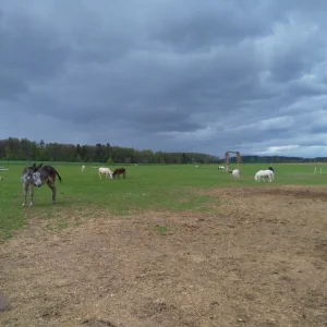 Telč Ranč - Vysočina s dětmi