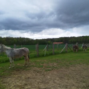 Telč Ranč - Vysočina s dětmi