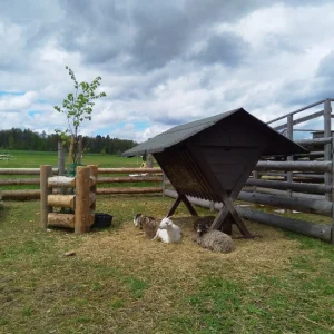 Telč Ranč - Vysočina s dětmi