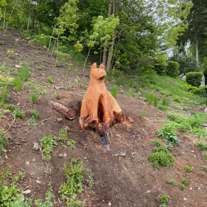 Za Žižkou do Přibyslavi a okolí - Vysočina s dětmi