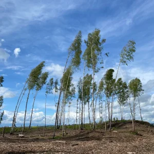 Za Žižkou do Přibyslavi a okolí - Vysočina s dětmi