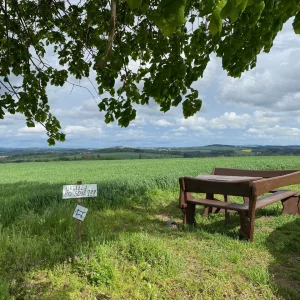 Za Žižkou do Přibyslavi a okolí - Vysočina s dětmi