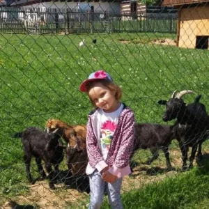 Bystřice nad Pernštejnem s dětmi - Vysočina s dětmi