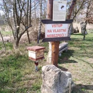 Křížová cesta a pramen Moravské Dyje - Vysočina s dětmi