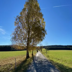 Devět skal a NS Naše stromy - Vysočina s dětmi