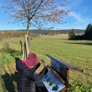 Devět skal a NS Naše stromy - Vysočina s dětmi