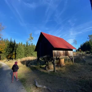 Devět skal a NS Naše stromy - Vysočina s dětmi