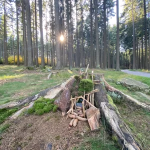 Devět skal a NS Naše stromy - Vysočina s dětmi