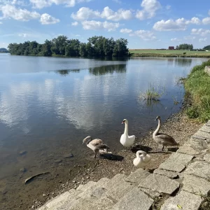 Naučná vodní stezka v Novém Veselí - Vysočina s dětmi