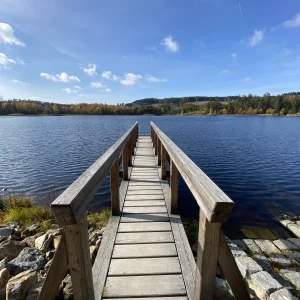 Z Pařezáku na Javořici - Vysočina s dětmi