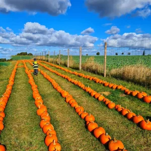 Dýňový svět na statku u Pipků - Vysočina s dětmi