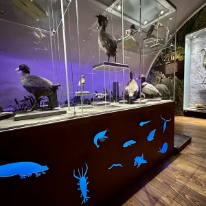 Vzhůru do minulosti v Jihlavě - Vysočina s dětmi