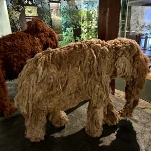 Vzhůru do minulosti v Jihlavě - Vysočina s dětmi