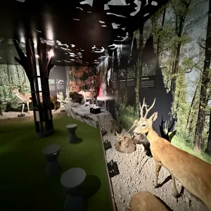 Vzhůru do minulosti v Jihlavě - Vysočina s dětmi