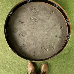 Vzhůru do minulosti v Jihlavě - Vysočina s dětmi