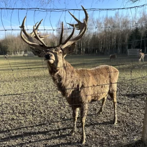 Na farmě Zelené údolí - Vysočina s dětmi