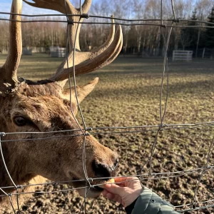 Na farmě Zelené údolí - Vysočina s dětmi