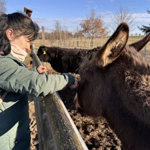 Na farmě Zelené údolí - Vysočina s dětmi