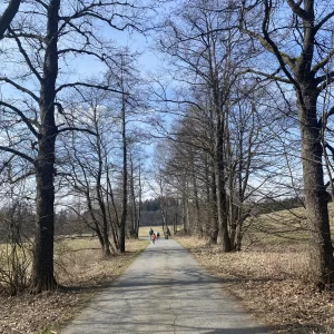 Jarní výlety plné květů - Vysočina s dětmi