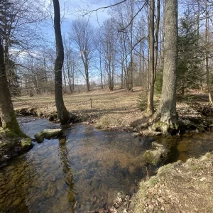 Jarní výlety plné květů - Vysočina s dětmi