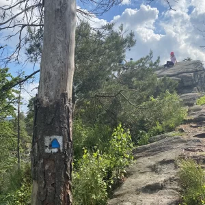 Hurá na Čtyři palice nejkratší cestou - Vysočina s dětmi