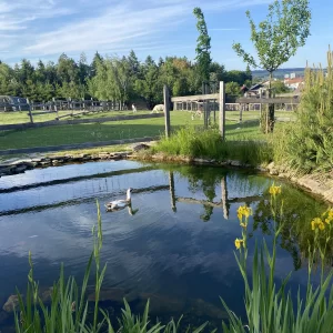 Mini zookoutek Nové Město na Moravě / 1 - Vysočina s dětmi