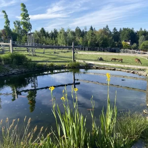 Mini zookoutek Nové Město na Moravě / 3 - Vysočina s dětmi