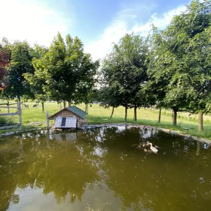 Mini zookoutek Nové Město na Moravě / 6 - Vysočina s dětmi