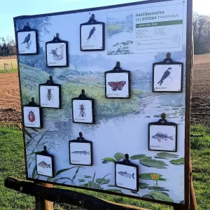 Pohádková stezka Panenská / 5 - Vysočina s dětmi