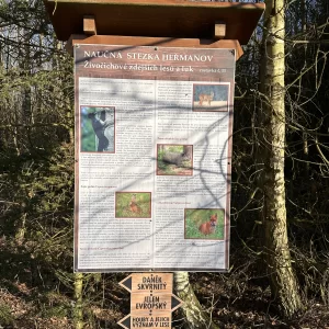 Eko farma Zelené údolí / 4 - Vysočina s dětmi