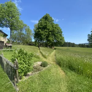 Chobotská lípa / 4 - Vysočina s dětmi